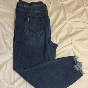 Terra & Sky Skinny Jeans